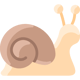 snail